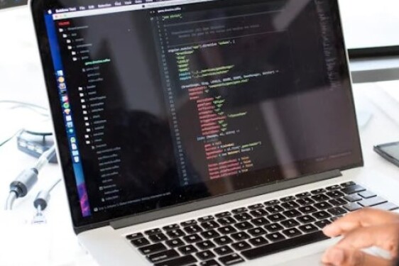software development
